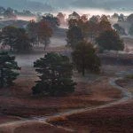 Small Move from Belgium to The Netherlands